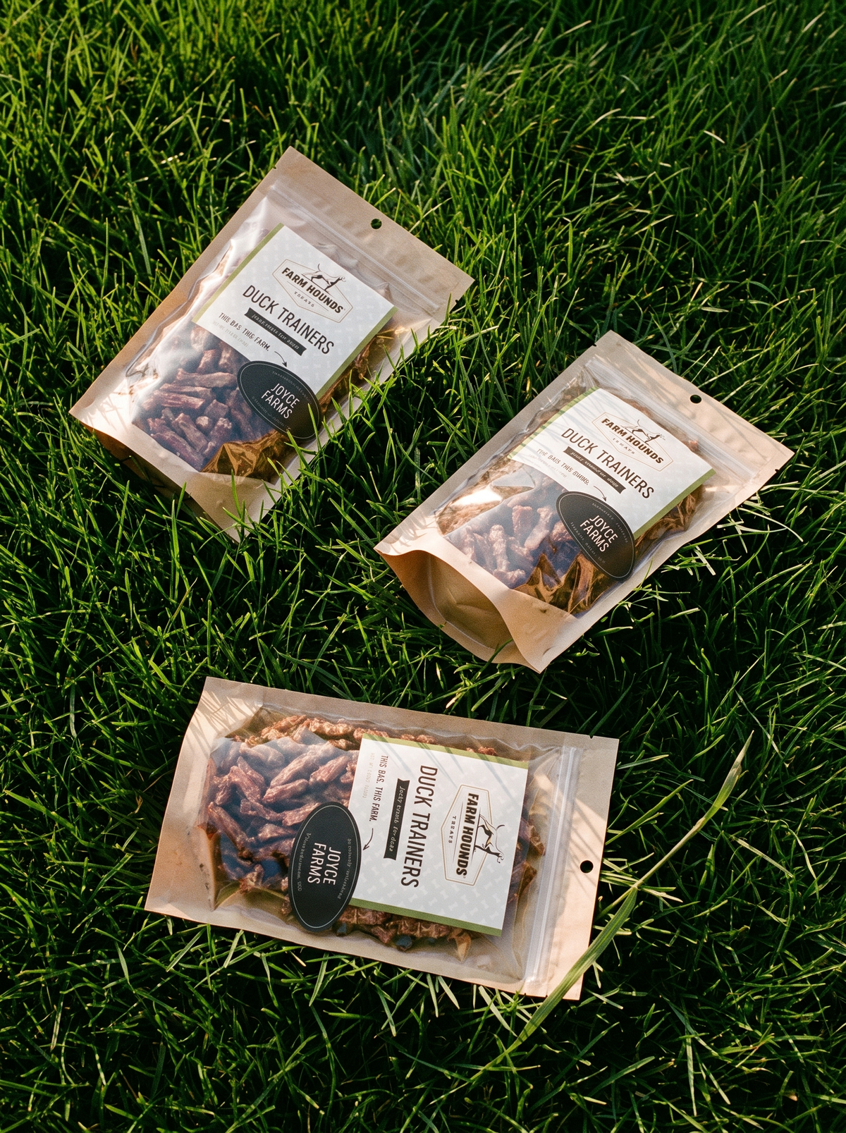 Single-Ingredient Duck Trainers Dog Treats