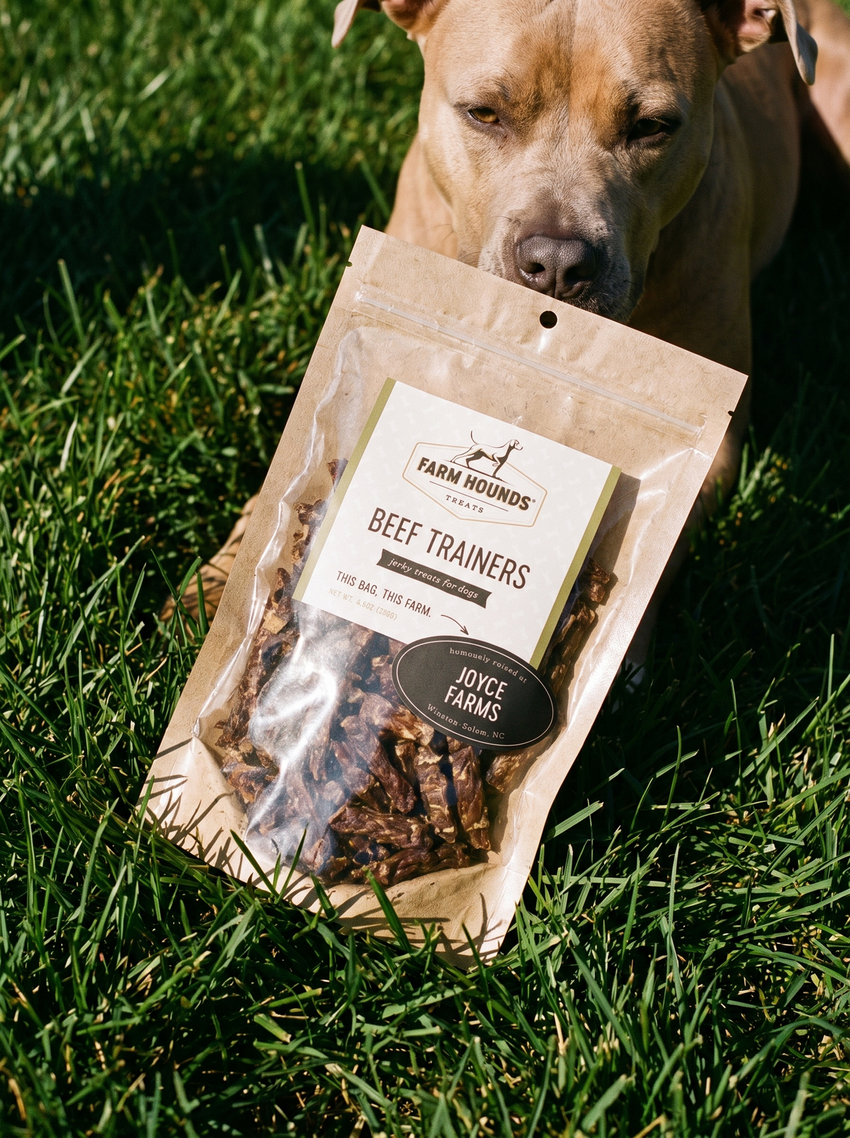Single-Ingredient Beef Training Dog Treats