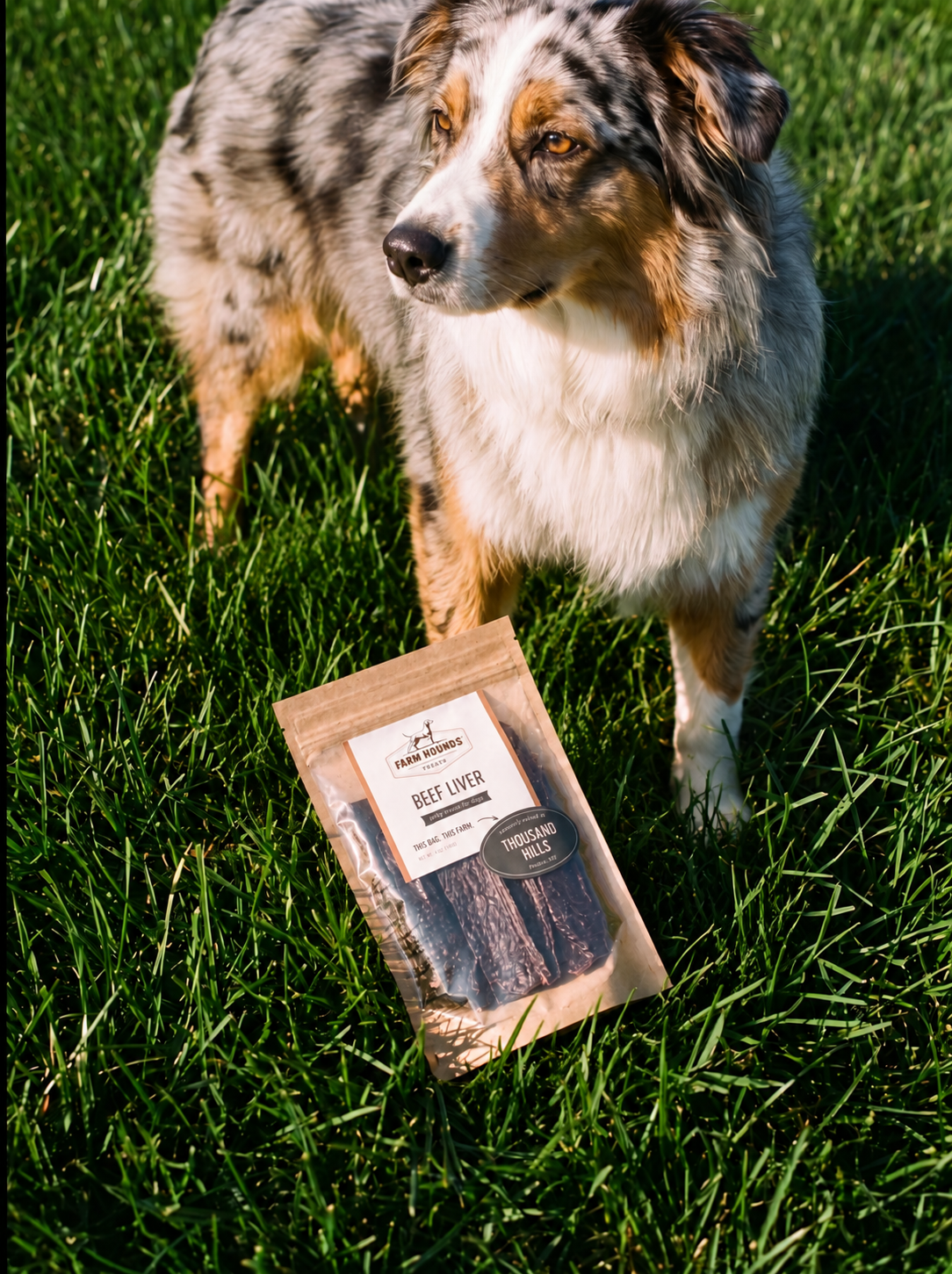 Chopped beef sitting on leaves outside with a dog looking at the beef. Allgood Pet Supplies.