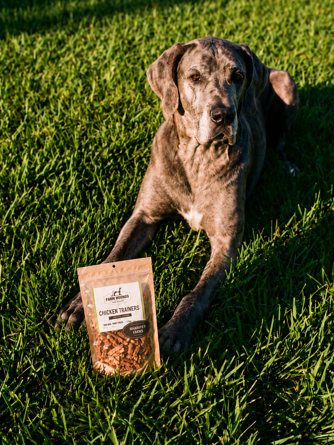 Dog sitting in grass with a bag of Allgood Pet Supplies chicken training treats
