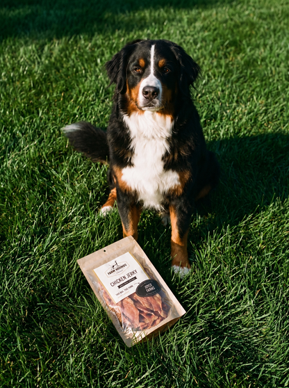 A Bernese mountain dog sits on green grass next to a bag of dog treats. The dog has a black, white, and brown coat, and the treats are packaged in a clear bag with a beige label.