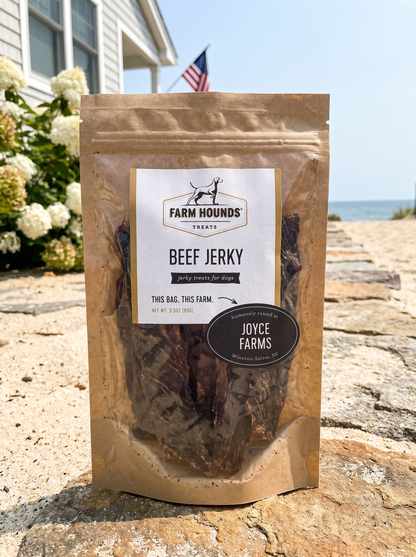Single-Ingredient Beef Jerky Dog Treats
