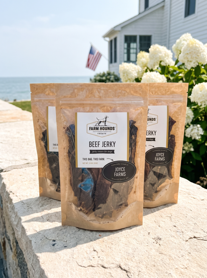 Single-Ingredient Beef Jerky Dog Treats