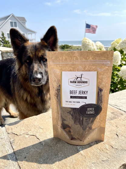 Single-Ingredient Beef Jerky Dog Treats