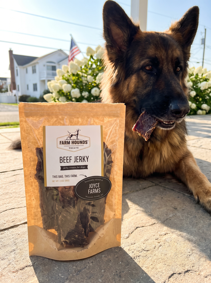 Single-Ingredient Beef Jerky Dog Treats