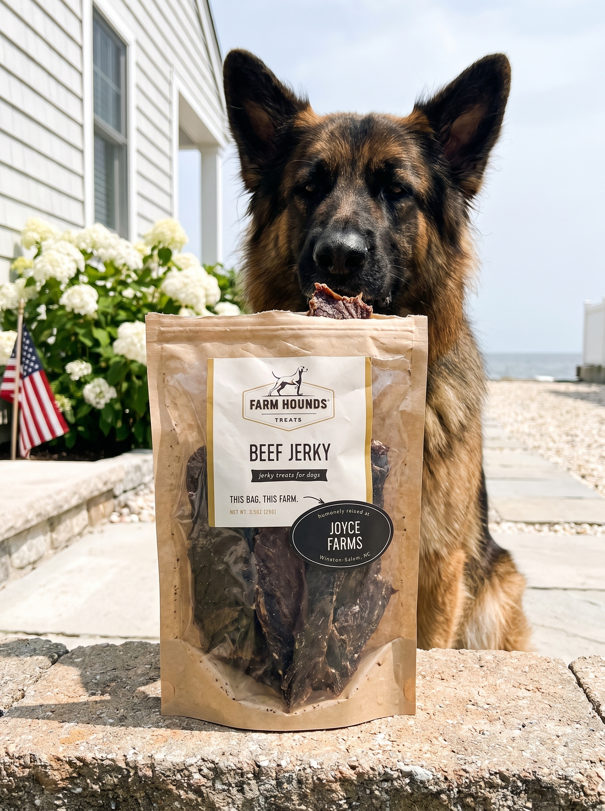 Single-Ingredient Beef Jerky Dog Treats