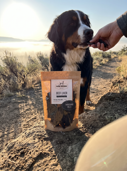 Single-Ingredient Beef Liver Dog Treats