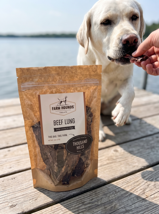 Single-Ingredient Beef Lung Dog Treats