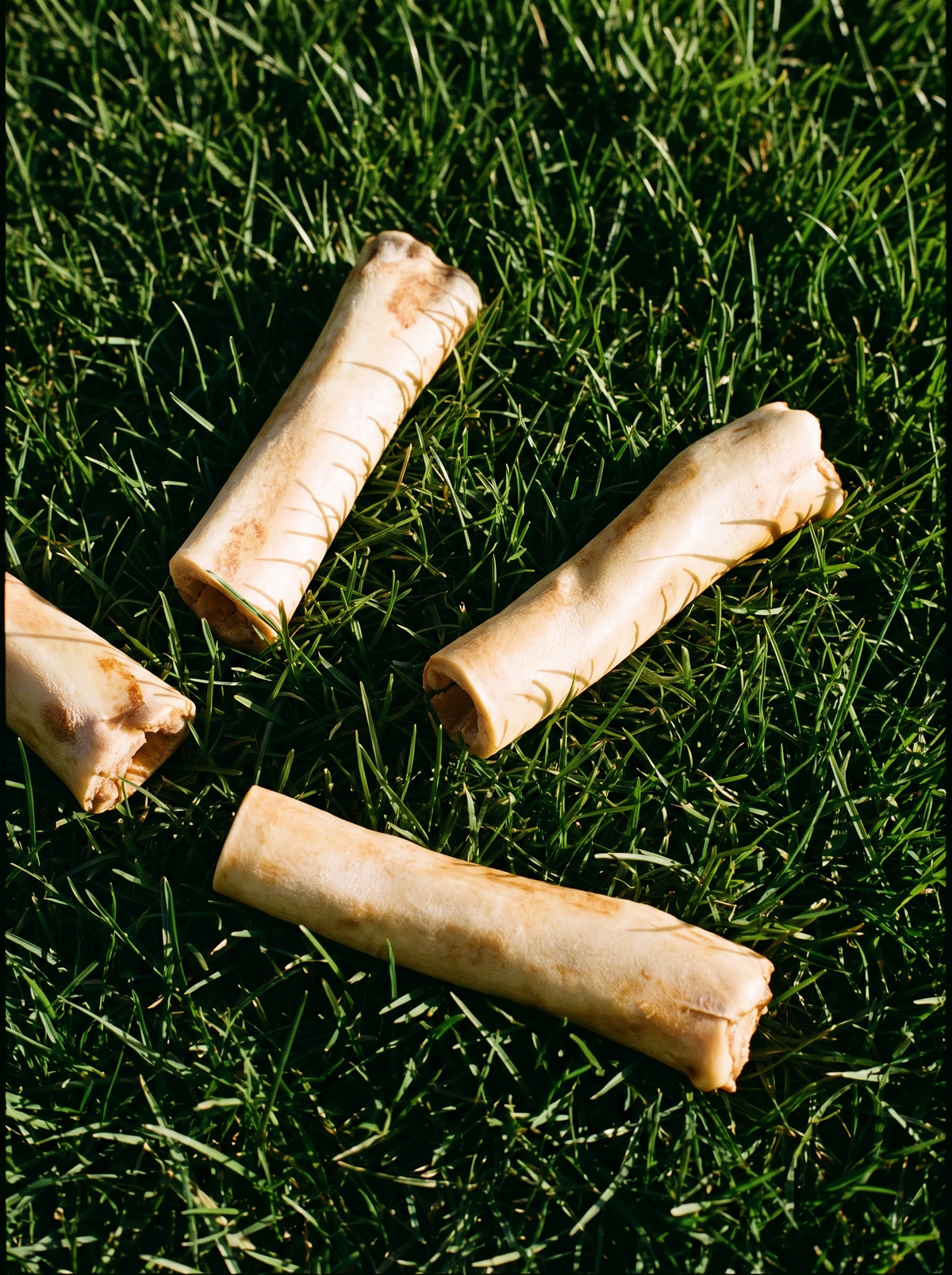 Single-Ingredient Beef Tail (6 inch)