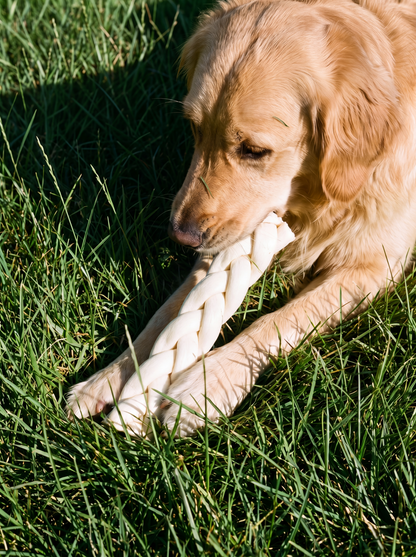 Beef Cheek Braided Dog Chew