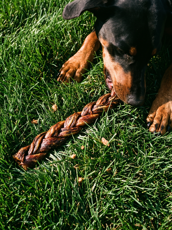 Single-Ingredient Braided Gullet