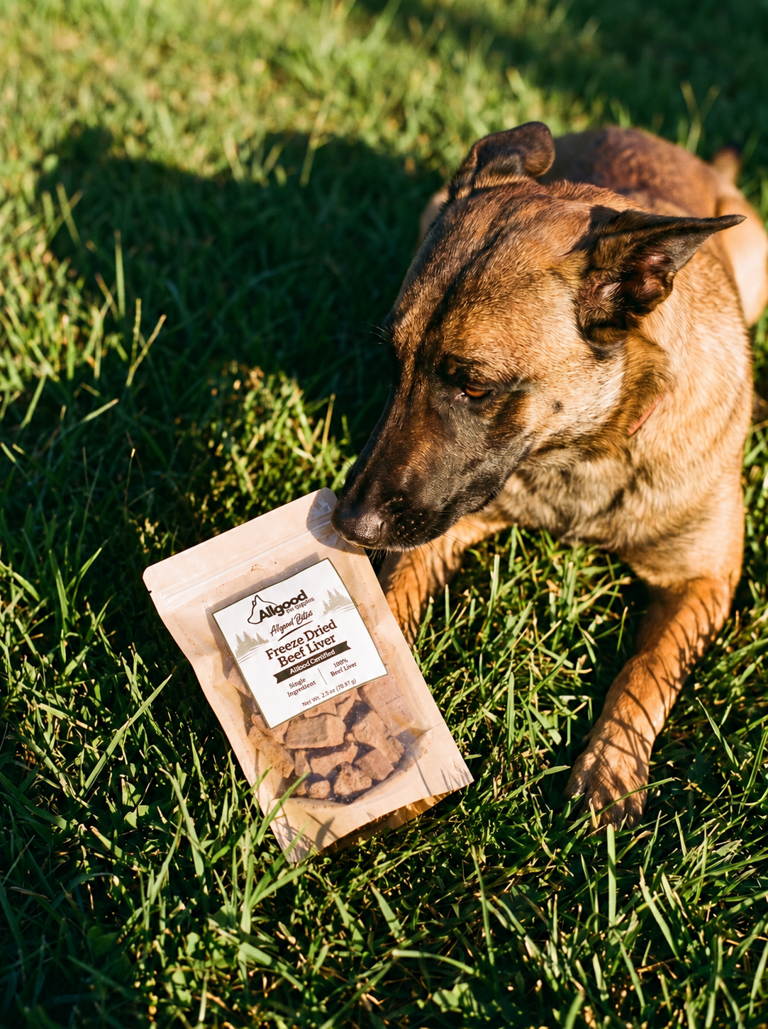 New! Allgood Bites Freeze Dried Beef Liver
