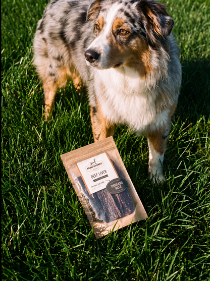 Single-Ingredient Beef Liver Dog Treats