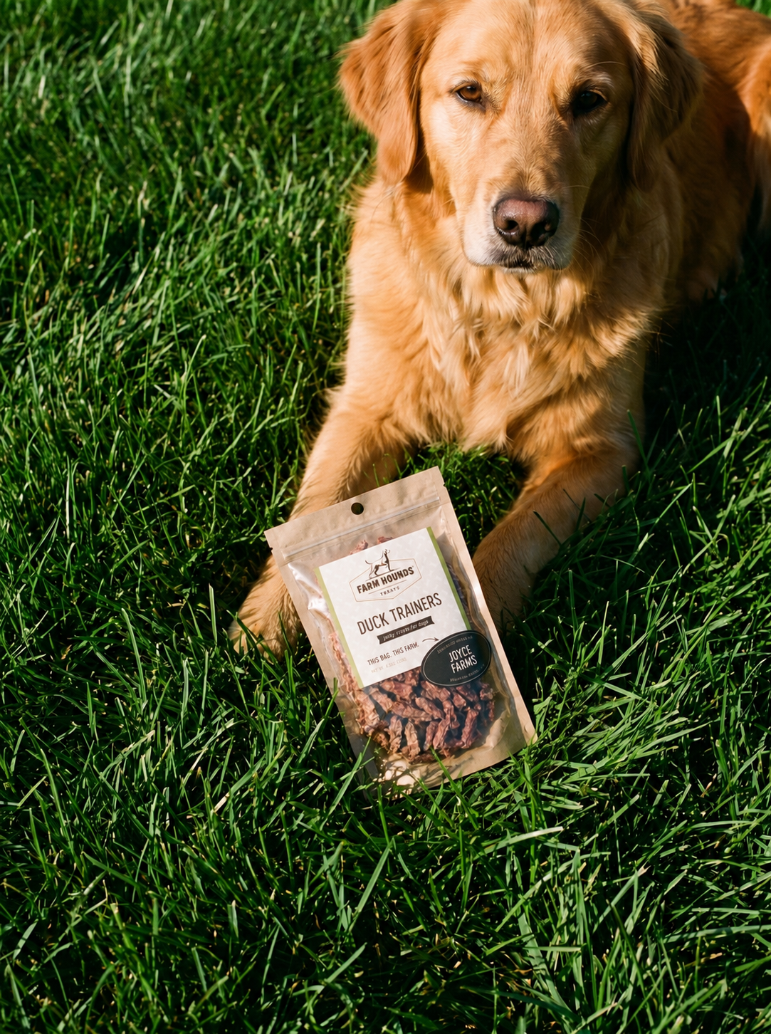 Single-Ingredient Duck Trainers Dog Treats