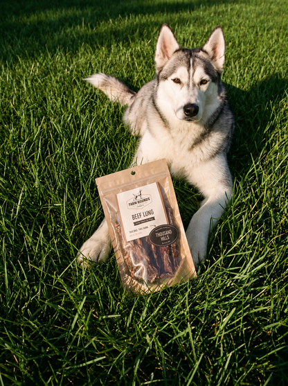 Single-Ingredient Beef Lung Dog Treats