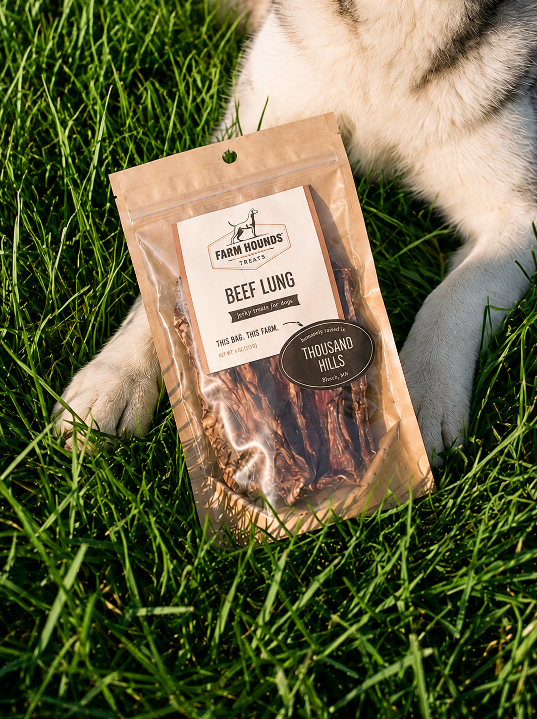 Single-Ingredient Beef Lung Dog Treats