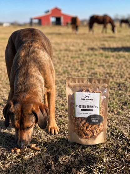 Chicken Training Treats – 100% Dehydrated Chicken