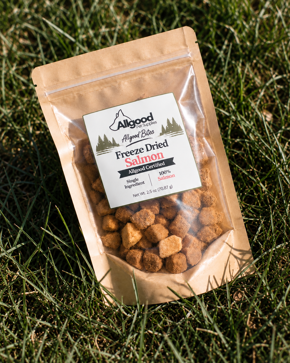 Freeze Dried Salmon