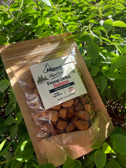 Freeze Dried Salmon