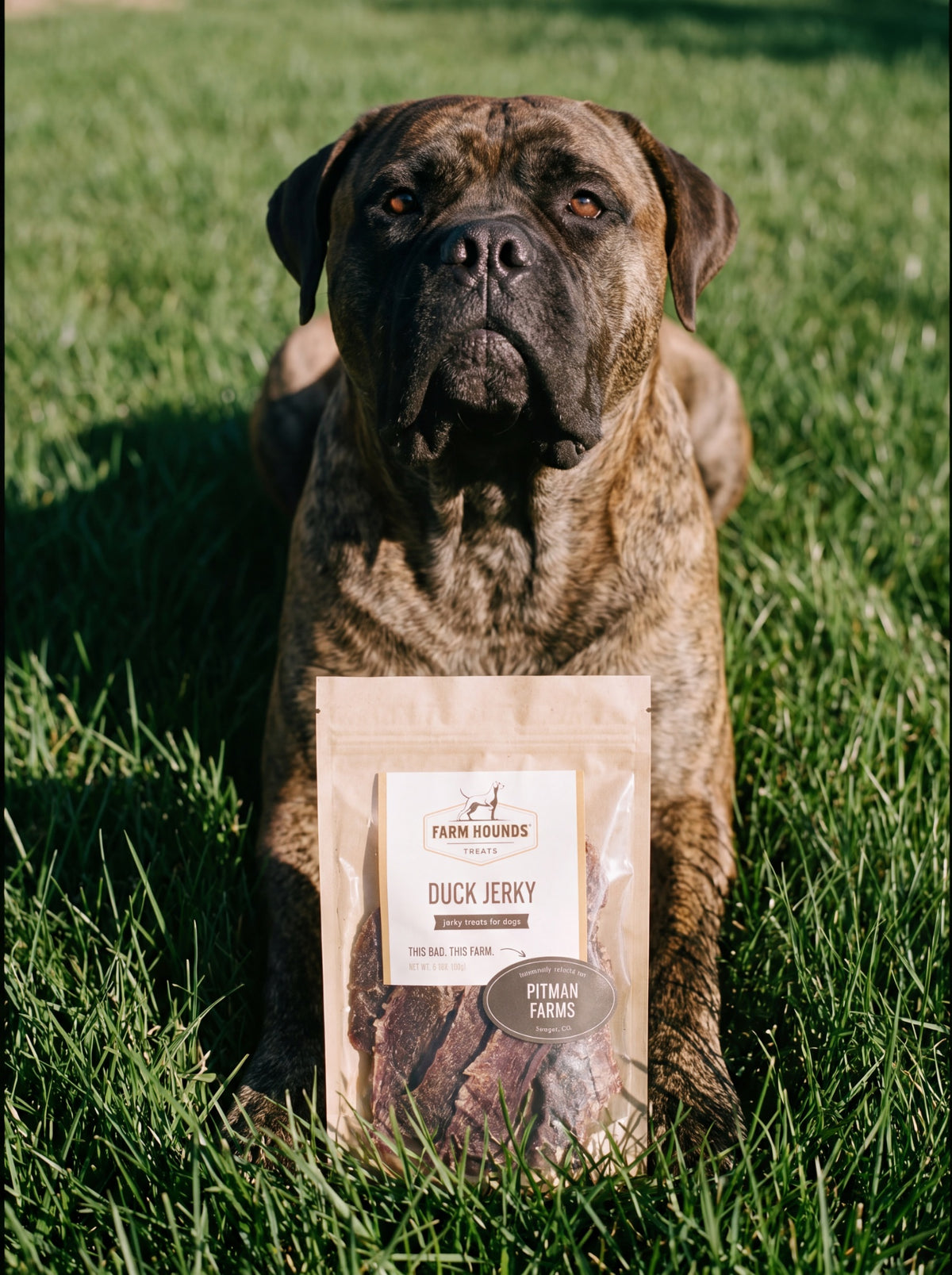 Single-Ingredient Duck Jerky Dog Treats