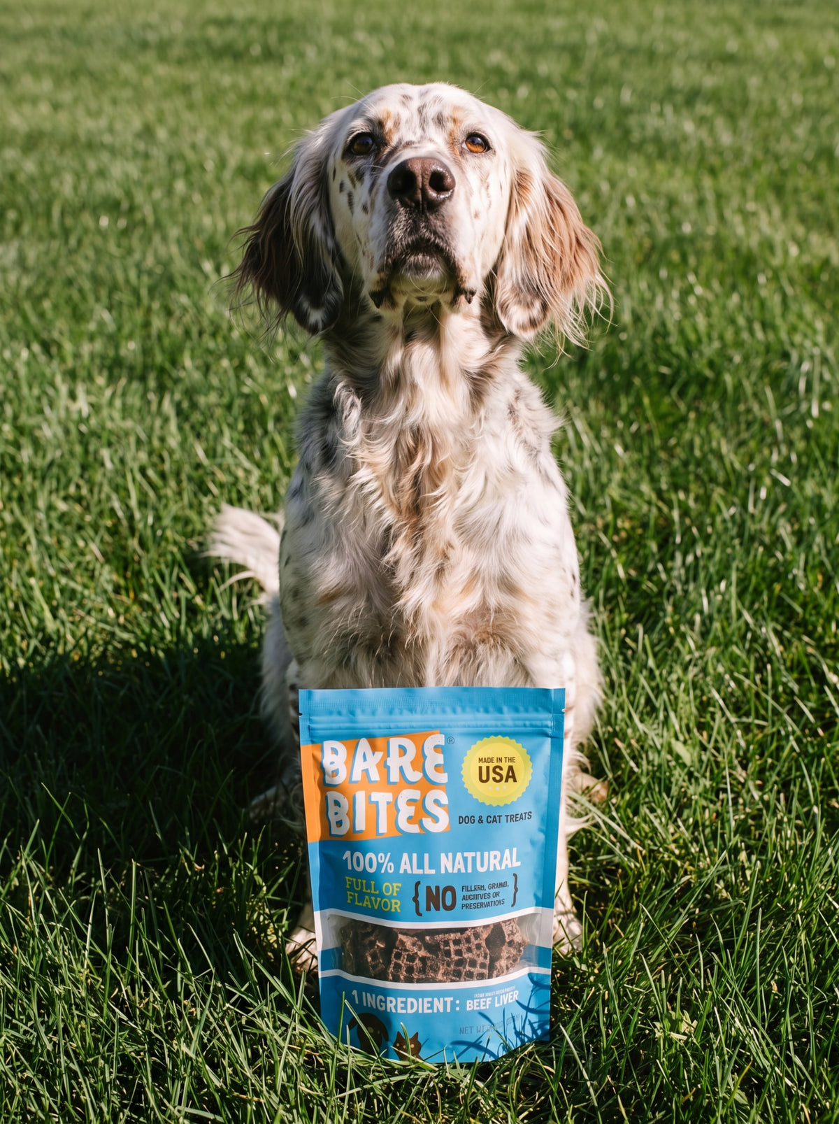 Beef Liver Dog Treats