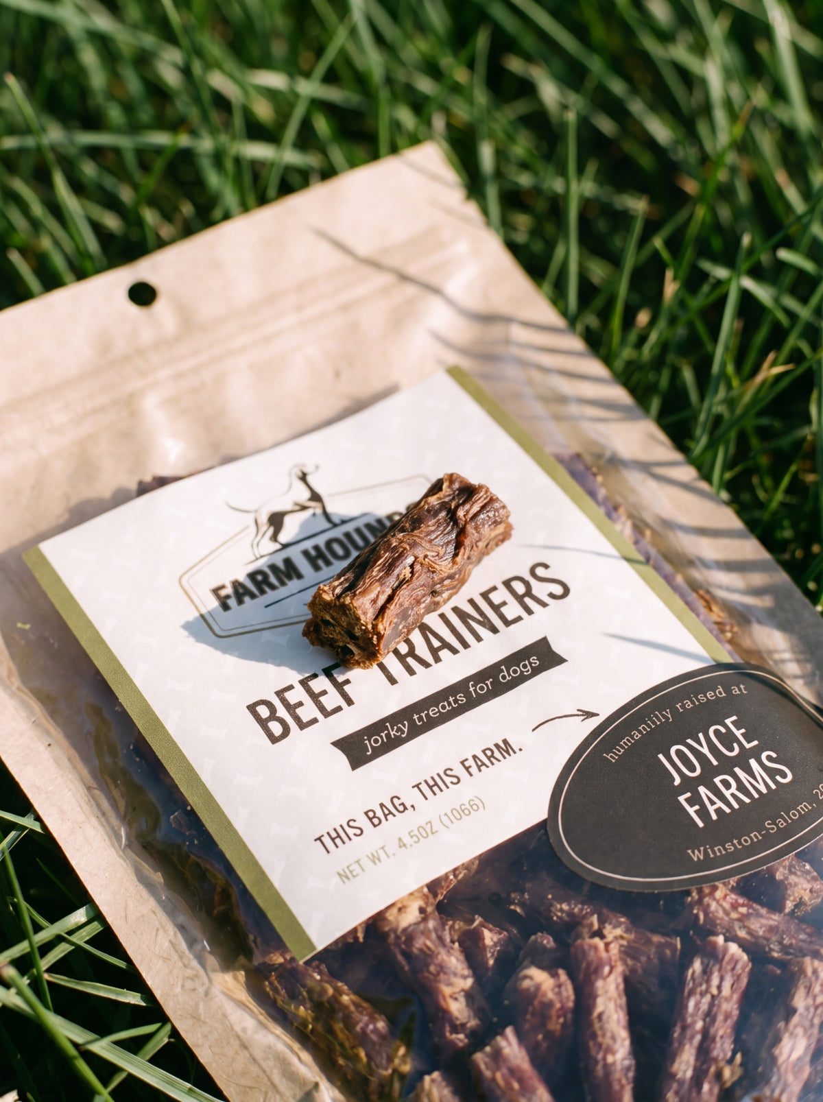 Single-Ingredient Beef Training Dog Treats