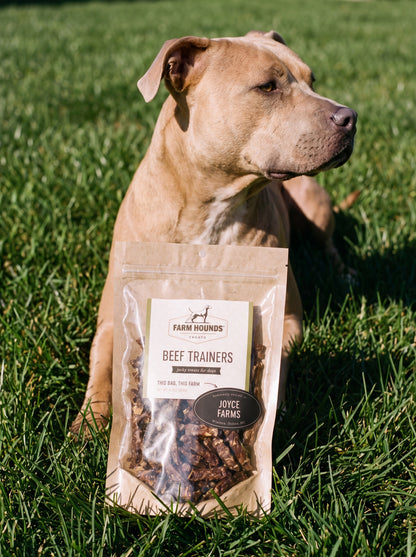Single-Ingredient Beef Training Dog Treats