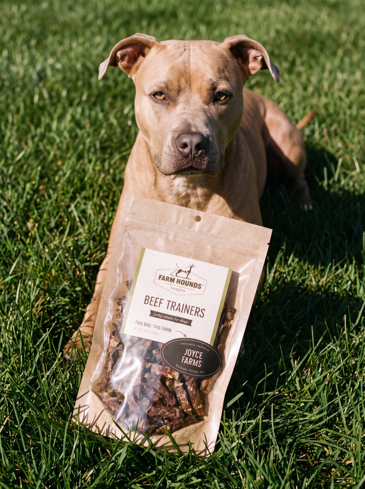 Single-Ingredient Beef Training Dog Treats