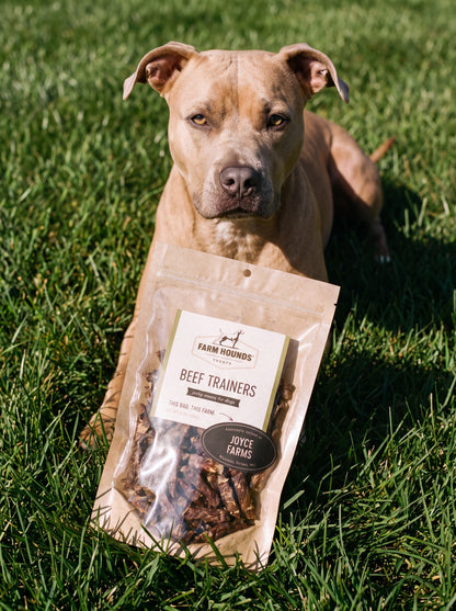Single-Ingredient Beef Training Dog Treats