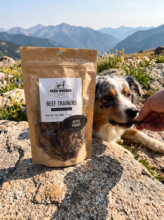 Single-Ingredient Beef Training Dog Treats
