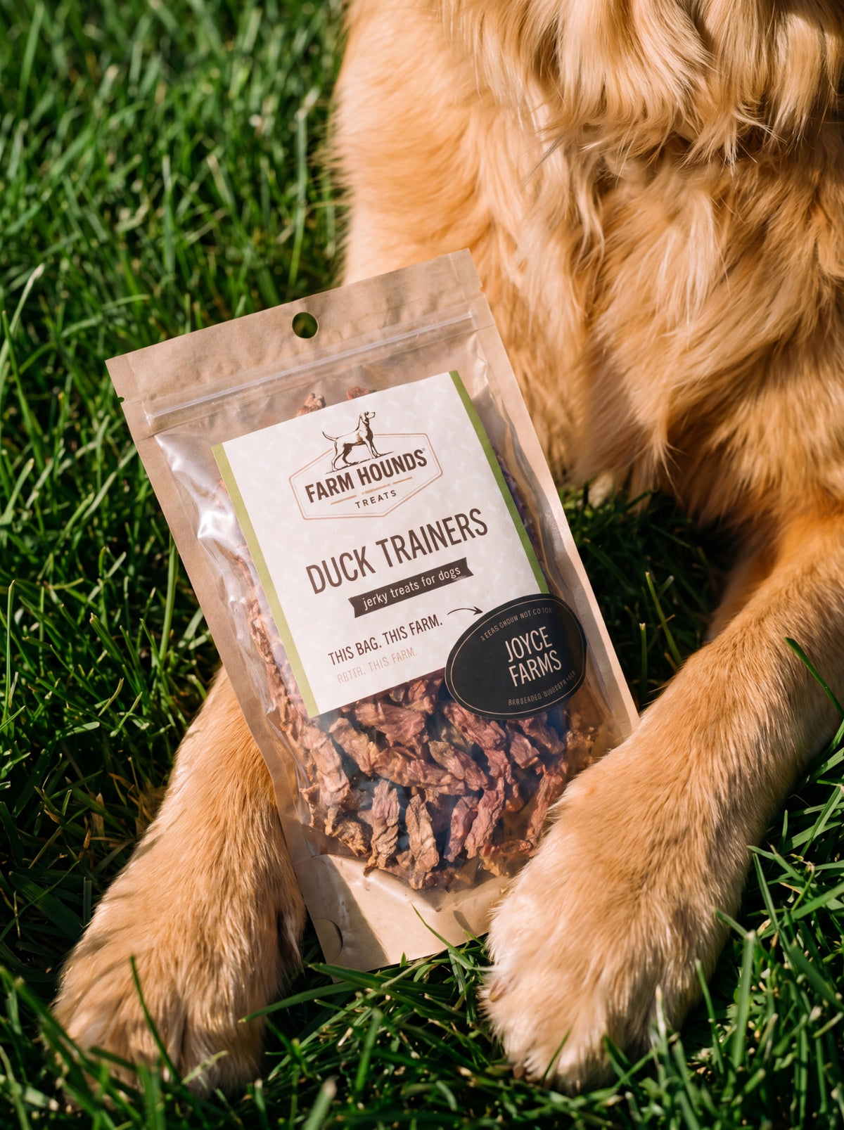 Single-Ingredient Duck Trainers Dog Treats