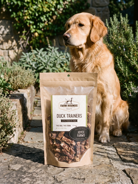 Single-Ingredient Duck Trainers Dog Treats