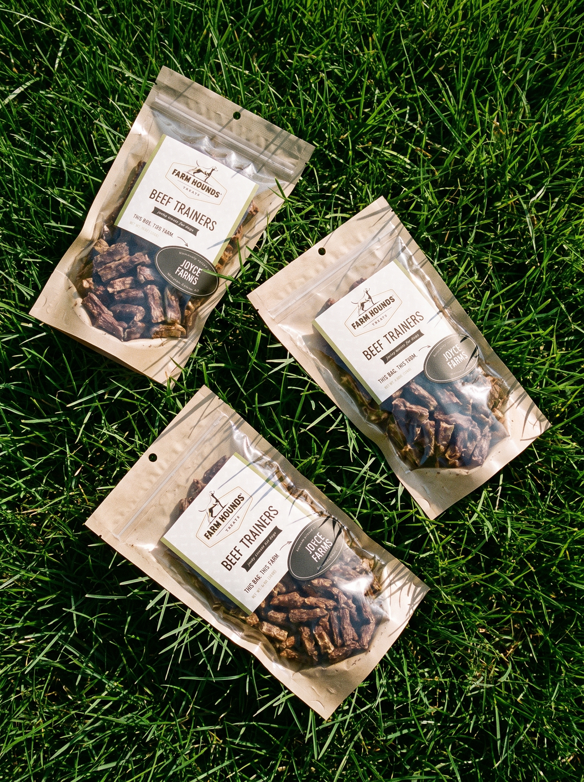 Single-Ingredient Beef Training Dog Treats