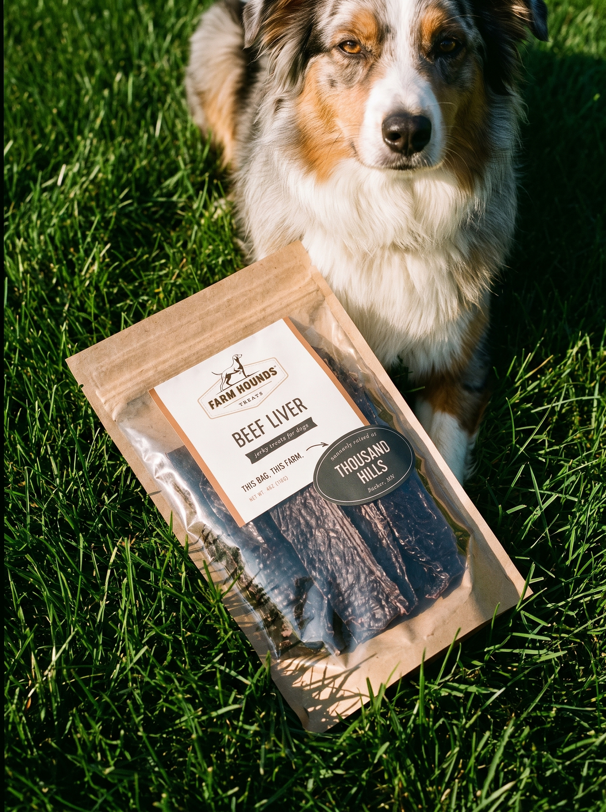 Single-Ingredient Beef Liver Dog Treats