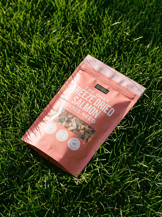 Freeze Dried Salmon