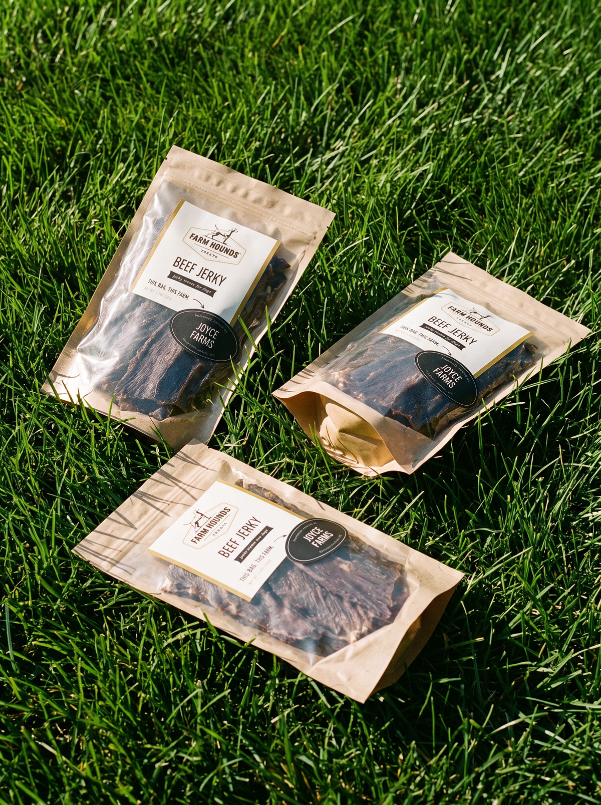 Single-Ingredient Beef Jerky Dog Treats