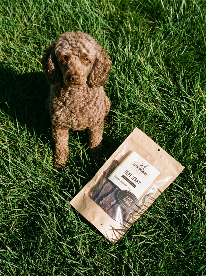 Single-Ingredient Beef Jerky Dog Treats