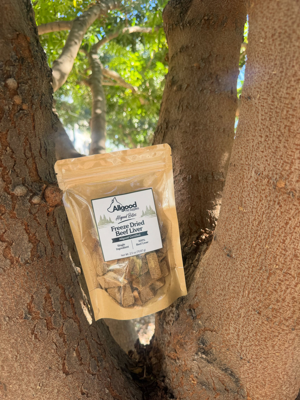 Allgood Bites Sampler