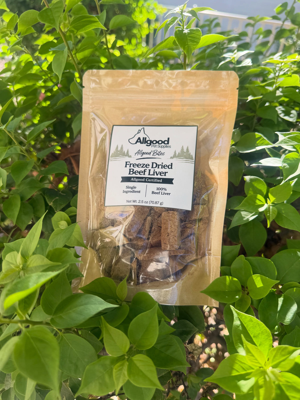 Allgood Bites Sampler