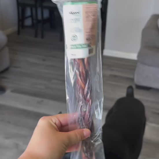 Doberman eating an Allgood Beef Gullet Braid